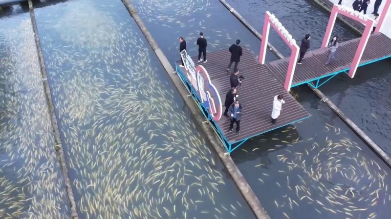 新华视点丨冬日暖阳里 听一首乡村振兴交响曲