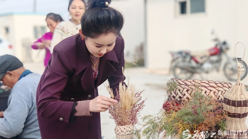 120万亩红柳林如何让荒漠重生――哈拉峻乡的生态振兴实践