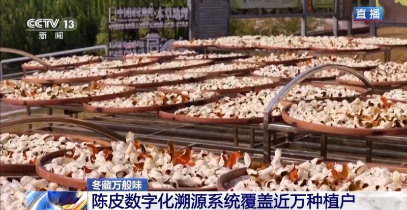 一粒豆一颗柑 中国味道饮品里藏着“绿色致富密码”