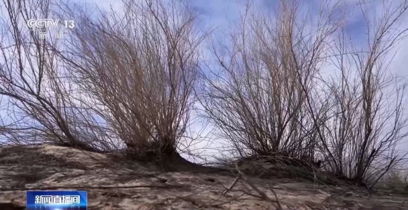 从防沙、固沙到治沙、用沙 看他们如何阻止两大沙漠合拢→