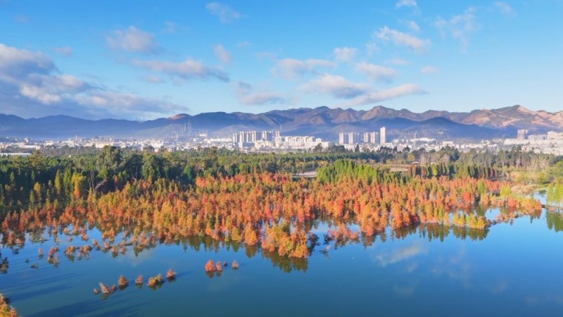 新华视点|文旅赋能消费升级 创新激活冬日经济