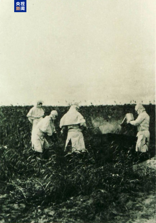 罪证确凿！原队员证实731部队用飞机降雨式播撒细菌