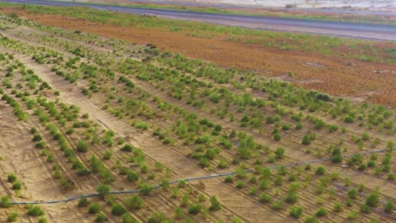 新华视点|山河新貌:多地实践探索绿色发展