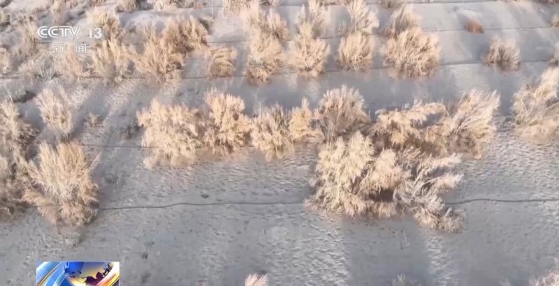 从防沙、固沙到治沙、用沙 看他们如何阻止两大沙漠合拢→