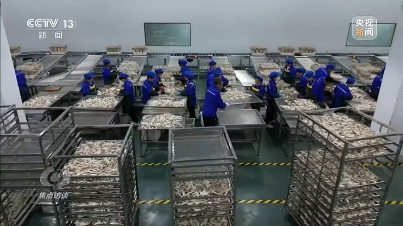 焦点访谈丨让一亿人稳定脱贫 中国有独特的“方法论”