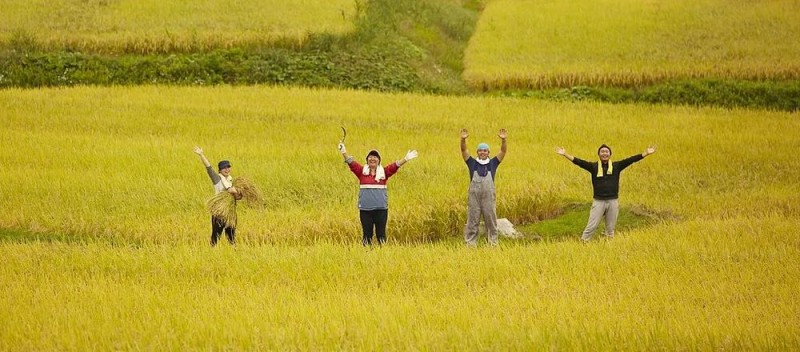 当打媳妇被归为“家务事”,农村女性逃离家暴有多难?