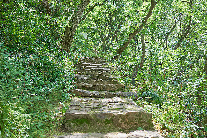 “野爬”成新风尚 户外徒步如何规避未知风险保证安全？