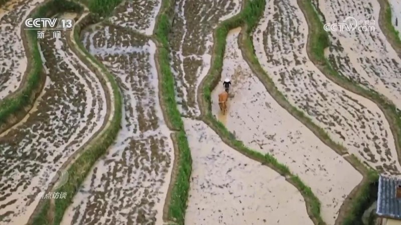 焦点访谈｜新时代的减贫奇迹，是怎么做到的？