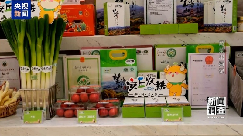 新闻调查丨从追标准到定标准 “中国蔬菜出口第一县”做对了什么？