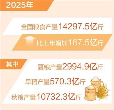 全年粮食生产再次实现高位增产