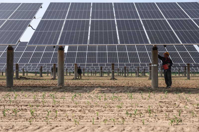 新华鲜报・“十四五”发展亮点｜中国“调色盘”增新绿！森林覆盖率超25%