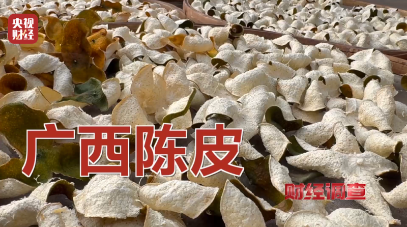 产地造假、年份速成、无视监管！总台《财经调查》曝光新会陈皮市场乱象