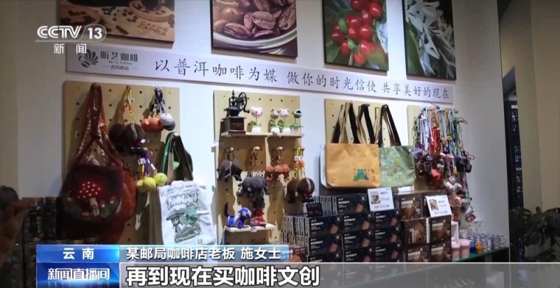 一粒豆一颗柑 中国味道饮品里藏着“绿色致富密码”