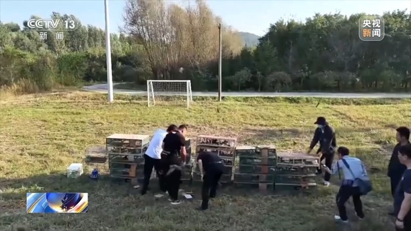 视频丨涉案金额达3900余万元 一张快递单引出野生鸟类盗猎大案