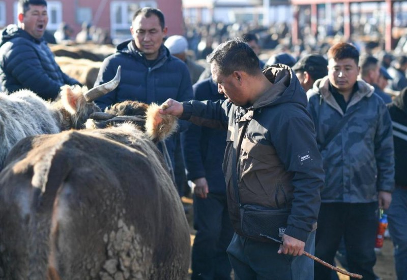 在新疆的巴扎 他们是连接牧场和市场的“纽带”