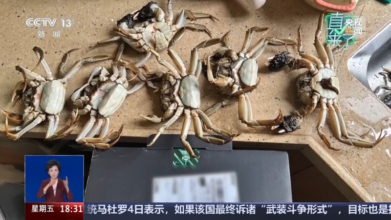 真相来了丨用AI合成虚假视频骗取商家195元 买家被行拘8日