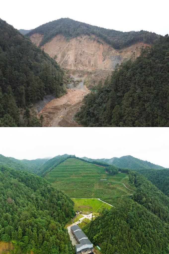 四中全会精神在基层|荒山“焕新”记