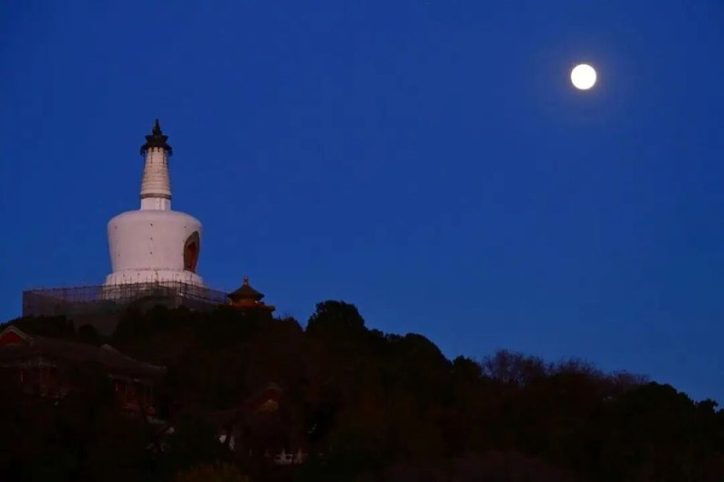 7点出发｜高市早苗，被控告！