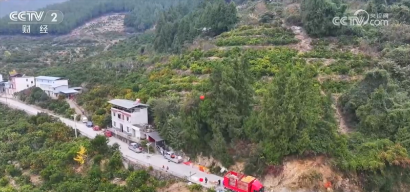 冬“鲜”上市丰富百姓“果盘子”“肉案子” 立体物流网络保障“鲜度直达”