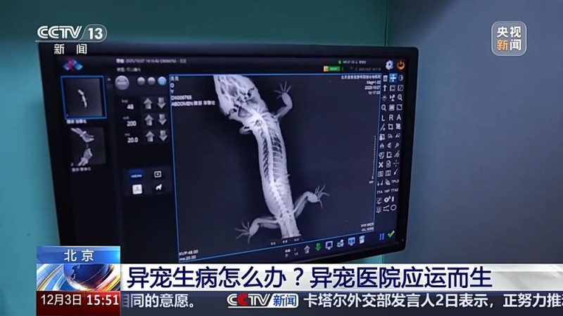 视频丨“异宠”虽潮，饲养有道！警惕生物安全风险，勿碰法律红线