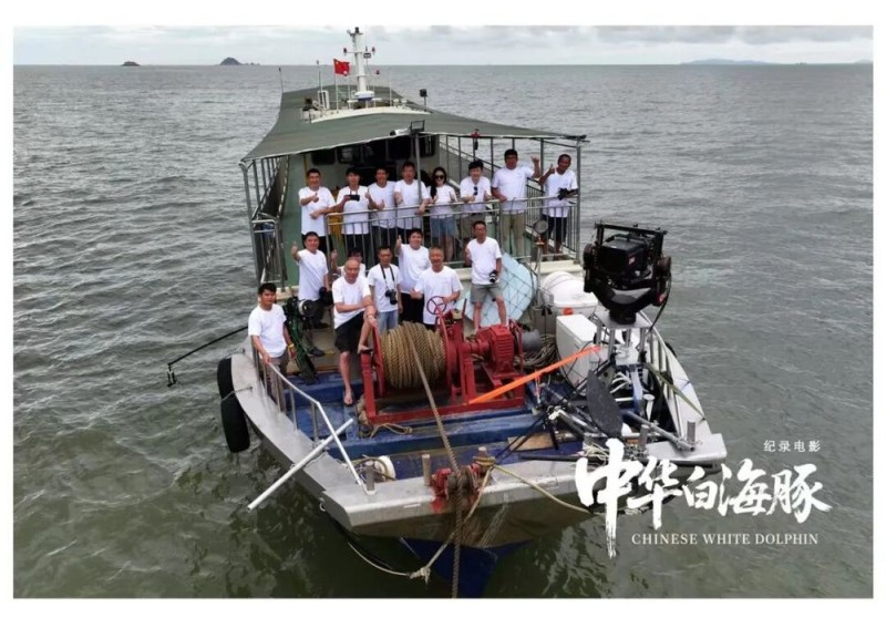 与粤港澳“海洋精灵”相遇 《中华白海豚》12月12日上映 不止于海的生命叙事