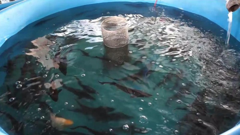 新华视点丨冬日暖阳里 听一首乡村振兴交响曲