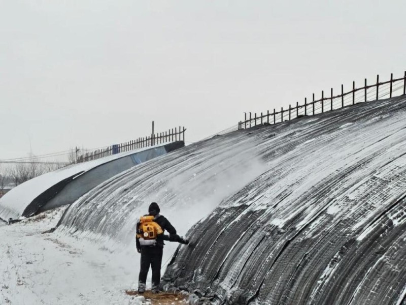 生活观察丨寒潮来袭，“速冻”模式如何应对