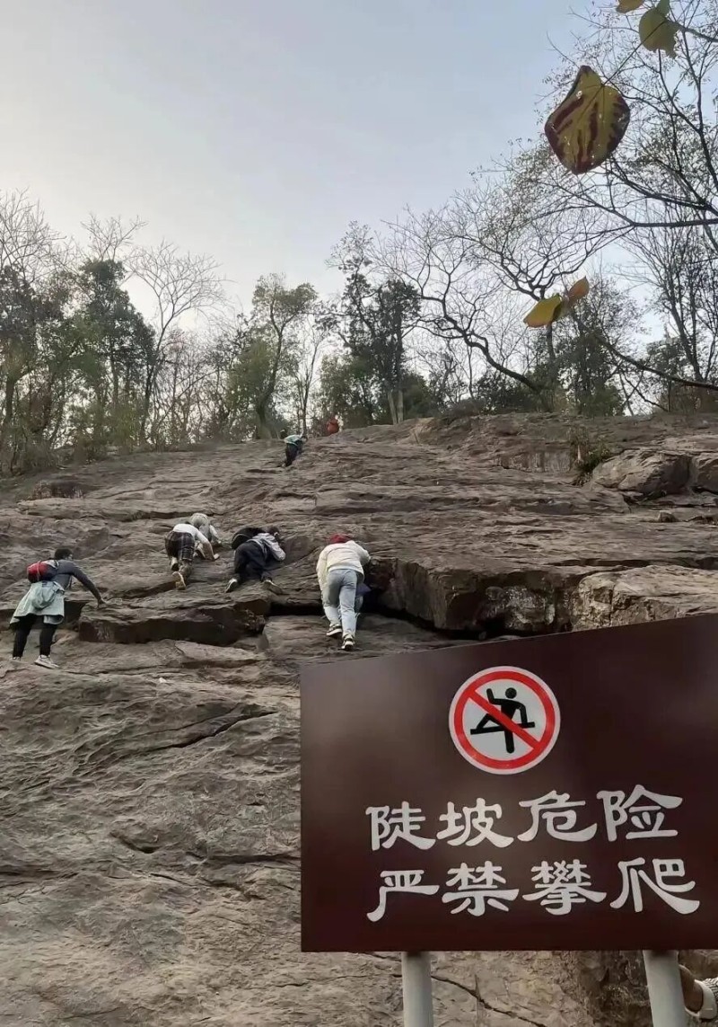 看丹观察丨带娃野爬“绝望坡”:练胆还是赌命?