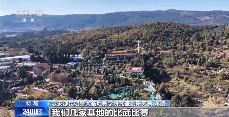 驯导员谈昆明犬:警犬不会演戏 每一次训练都是实战