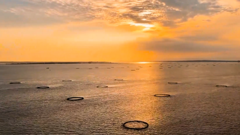 【经济大省挑大梁】广东海洋经济中的几何密码