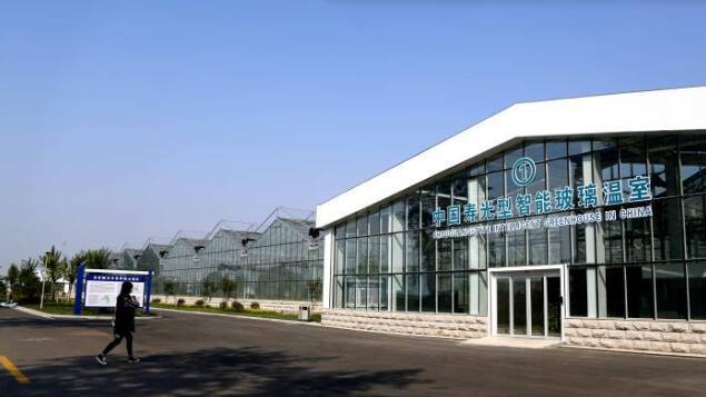 经济大省挑大梁丨“小”身板,“大”力量