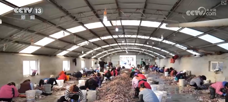 科技赋能海洋经济向“新”而行 “海上牧场”产出“大经济”助农增产增收