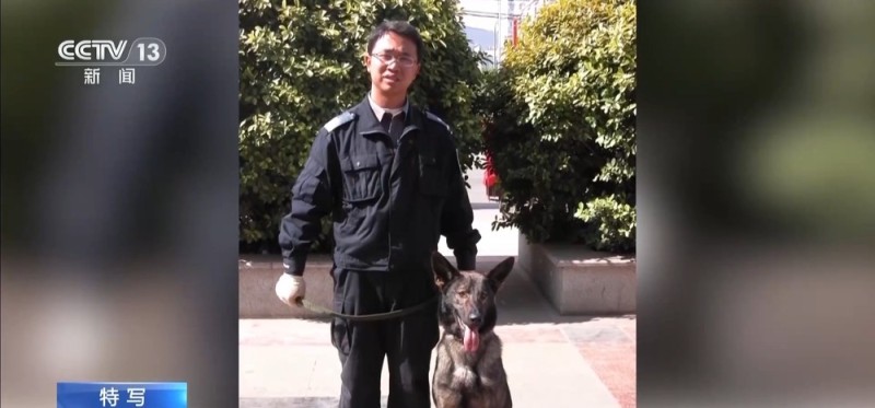 驯导员谈昆明犬:警犬不会演戏 每一次训练都是实战