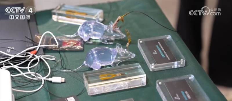 从“意念操控”到“视觉重建”,脑机接口有哪些最新突破?来看“中国方案”!
