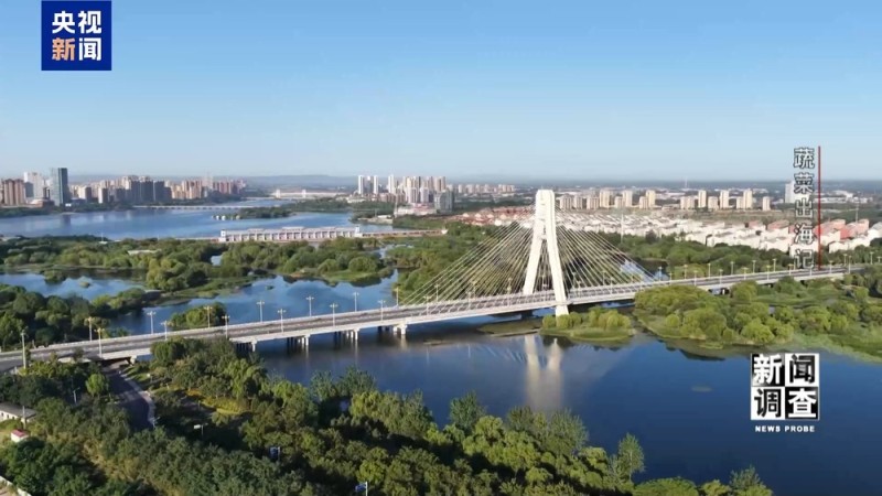 新闻调查丨从追标准到定标准 “中国蔬菜出口第一县”做对了什么？