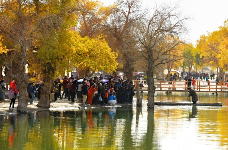 锁边合龙一周年丨从“死亡之海”到“财富绿洲” 看塔克拉玛干如何点沙成金