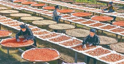 促进多劳者多得、技高者多得、创新者多得――这三个群体,收入分配要“多得”