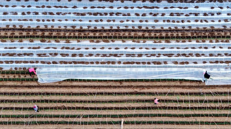 风雪无阻，温暖守护――各地多举措迎寒潮保民生