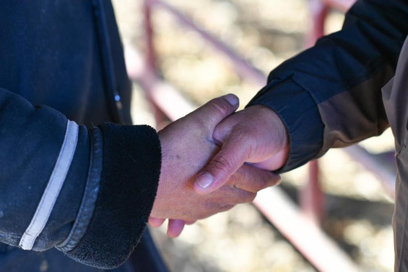 在新疆的巴扎 他们是连接牧场和市场的“纽带”