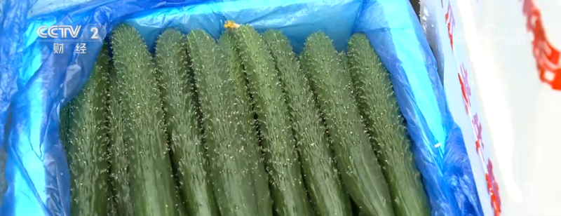 11月份“菜篮子”产品价格呈现季节性上涨 多因素推高生产成本