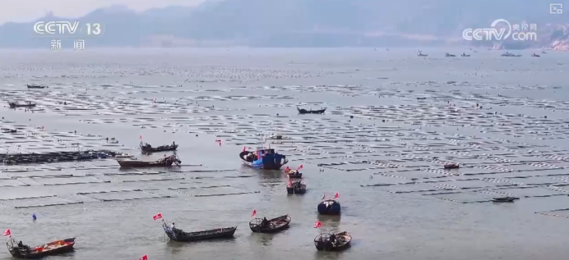 科技赋能海洋经济向“新”而行 “海上牧场”产出“大经济”助农增产增收