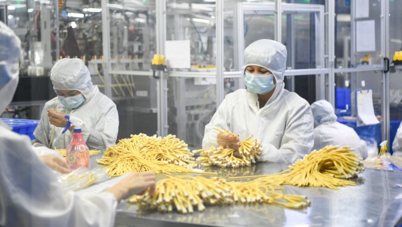 海阔千帆竞 潮涌自贸港――海南自由贸易港即将封关启新程