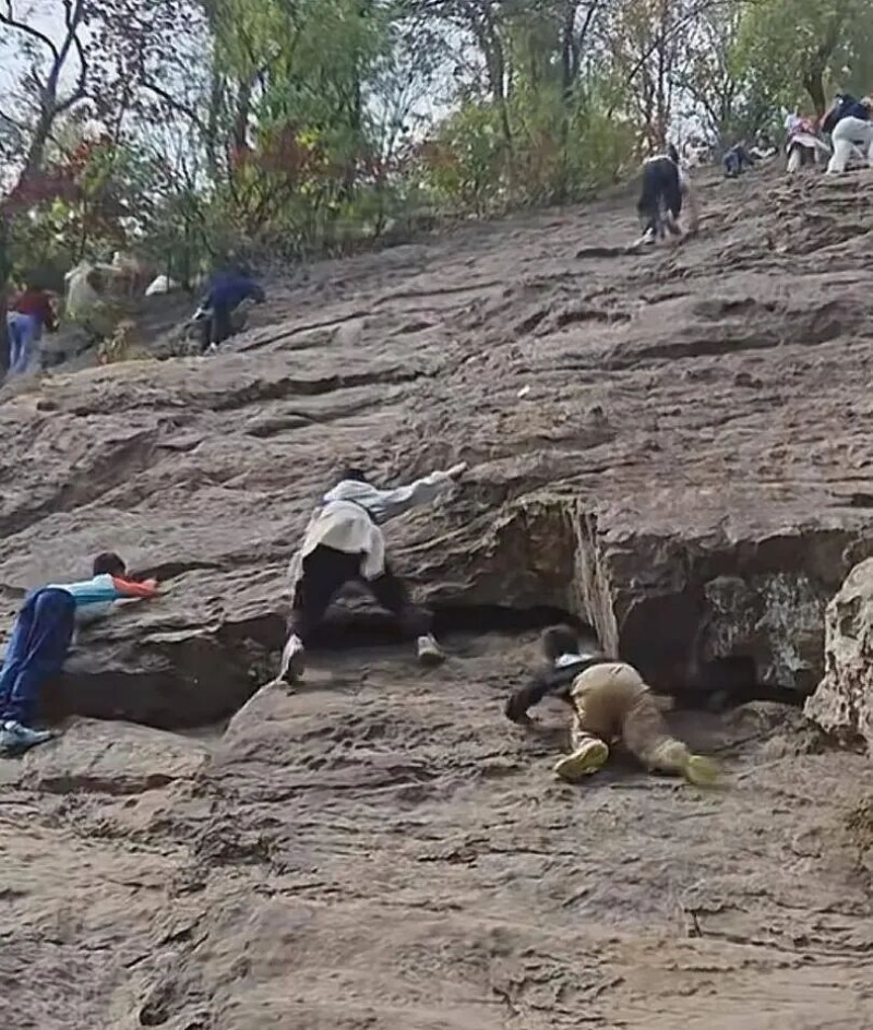 看丹观察丨带娃野爬“绝望坡”:练胆还是赌命?