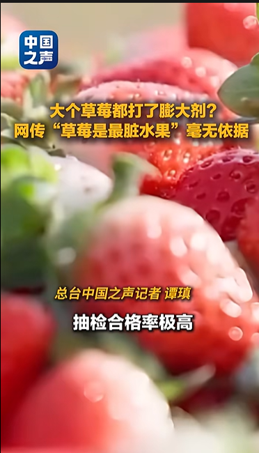 “膨大剂”催熟草莓正大量上市？记者调查→