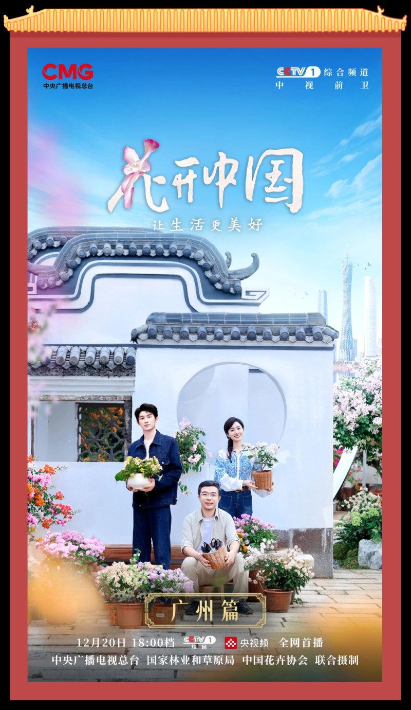 总台周末看点丨福随冬至