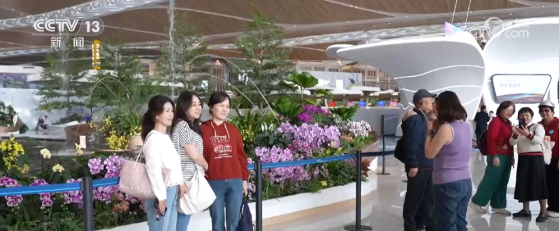 旅客与游客齐聚、民航与文旅融合 粤港澳大湾区机场群建设发展呈现新活力
