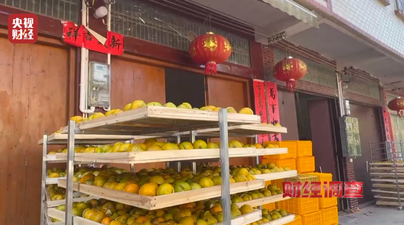 产地造假、年份速成、无视监管！总台《财经调查》曝光新会陈皮市场乱象