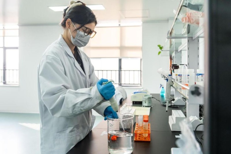 “十五五”目标@奋斗者丨发展新质生产力 培育壮大新动能