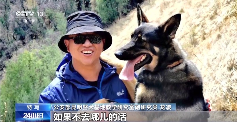 驯导员谈昆明犬:警犬不会演戏 每一次训练都是实战