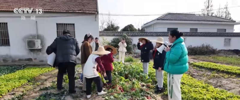 百姓“家门口”享受优质家庭教育服务 多种方式帮助家长缓解“育儿焦虑”